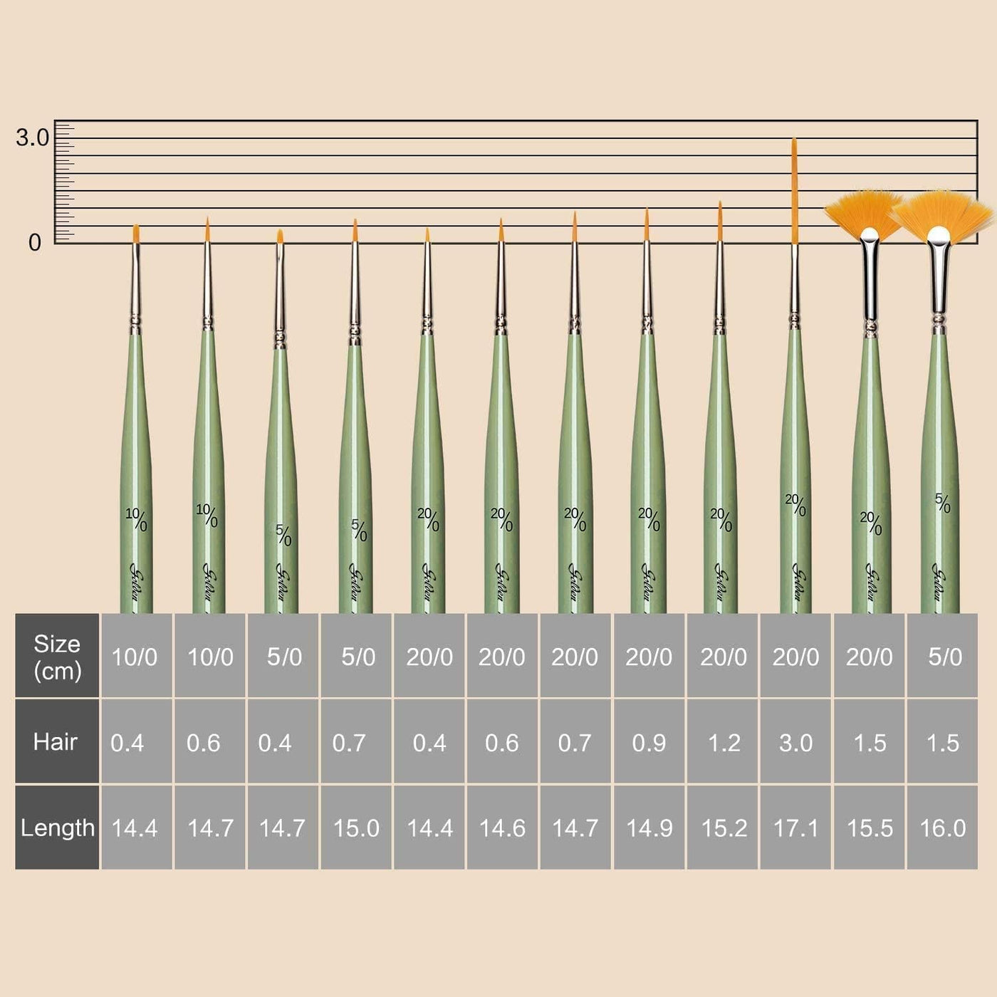 Golden Maple Detail Paint Brush Set, 12pcs Fine Miniature Paint Brushes Kit with Fan Brush Perfect for Acrylic, Oil, Watercolor, Model, Face, Paint by Numbers