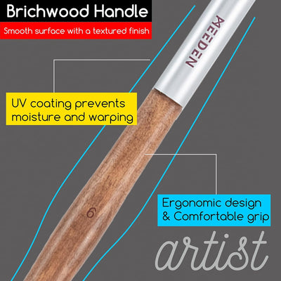 MEEDEN Artist Oil Paint Brush Set: 10 Pcs Hog Bristle Art Paint Brushes - Professional Oil Paint Brushes with Wood Long Handle - Perfect for Adults Canvas Painting